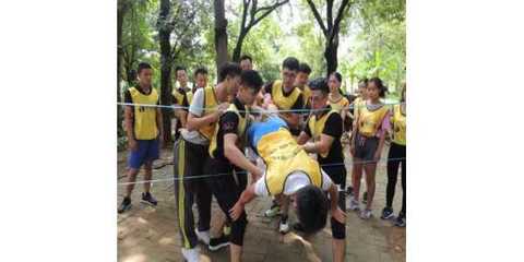 如何高效查询拓展基地电话及规划拓展训练项目