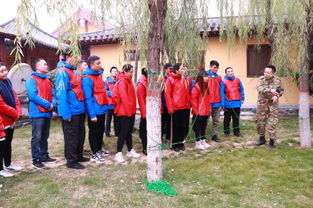 凝聚团队力量，共绘发展蓝图——清明上河园景区员工拓展训练活动圆满举行